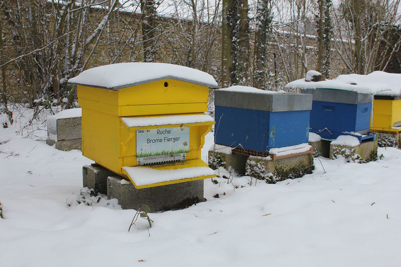 La ruche Brome Fierger